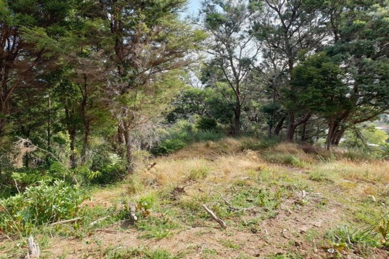 Photo of property in 312 Grafton Road, Thames, 3500