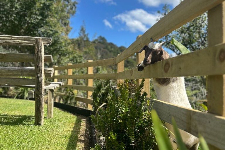 Photo of property in 478 The 309 Road, Waiau, Coromandel, 3581