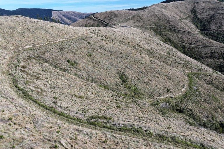 Photo of property in 49 Te Moana Road, Waikanae Beach, Waikanae, 5036