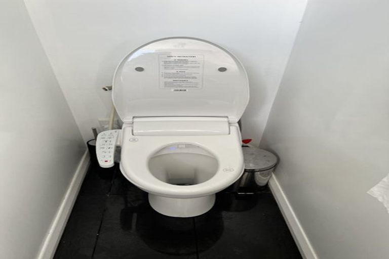 Photo of property in 103 Maeroa Road, Maeroa, Hamilton, 3200