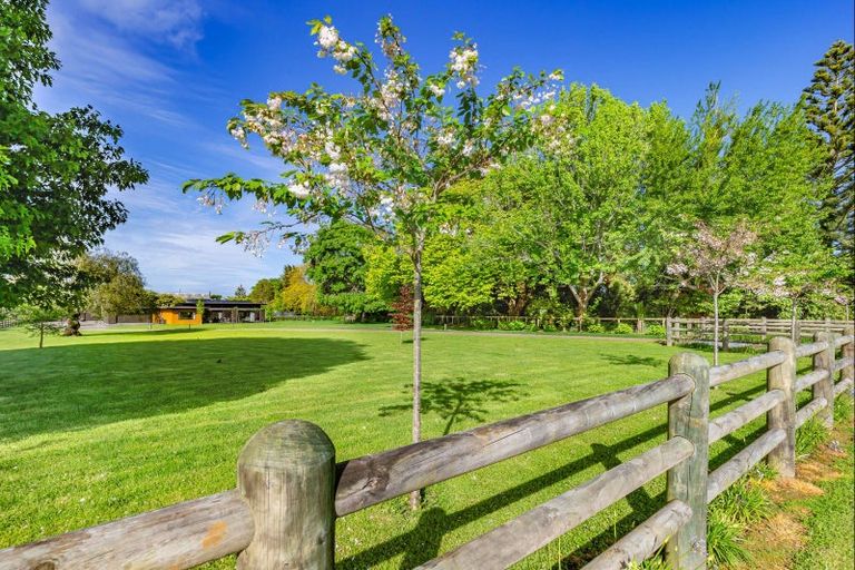 Photo of property in 19 Lindsay Road, Levin, 5510