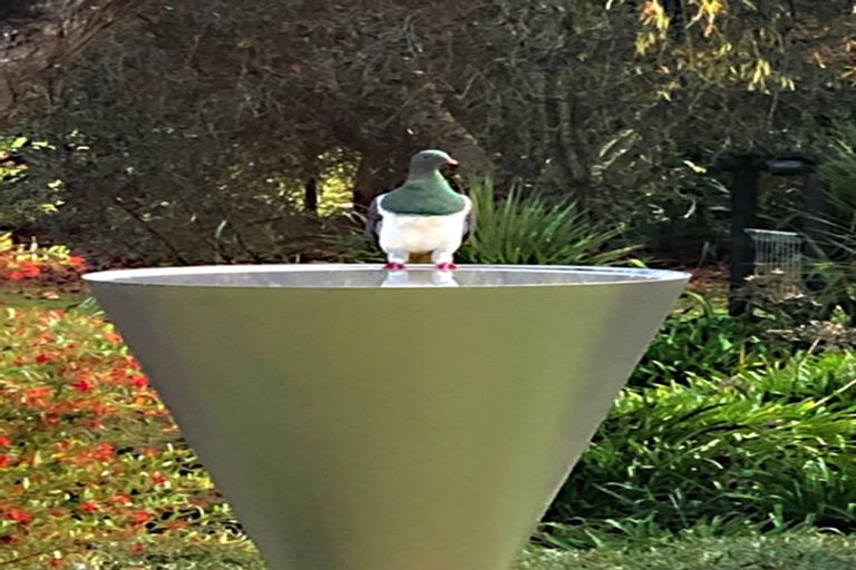 Photo of property in 331 Point Wells Road, Point Wells, 0986