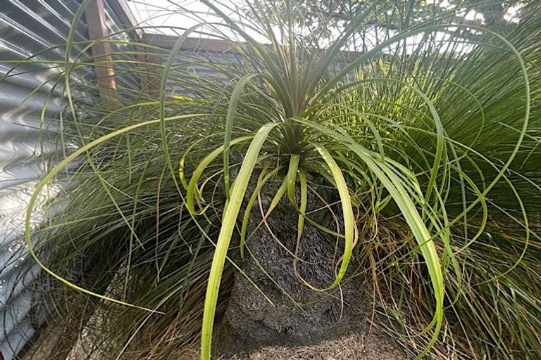 Photo of property in 37 Grey Street, Shannon, 4821