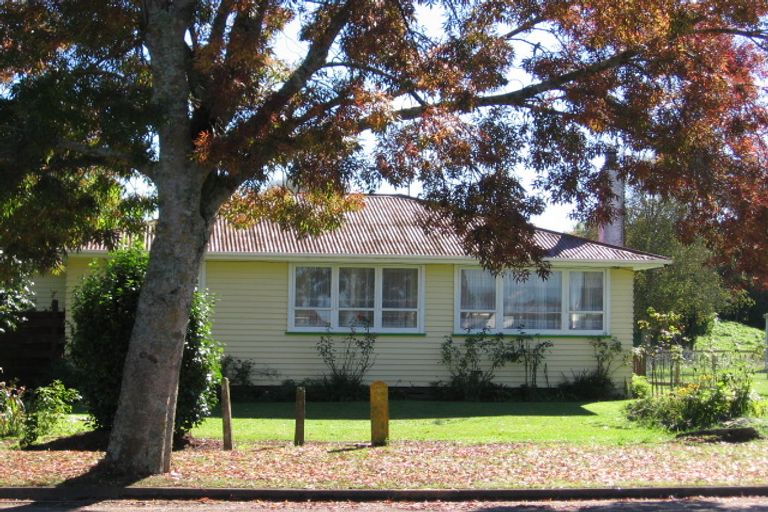 Photo of property in 141 Arapuni Street, Putaruru, 3411