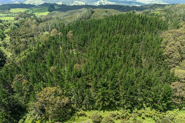 Photo of property in 264 Taylor Road, Taipa, Kaitaia, 0483