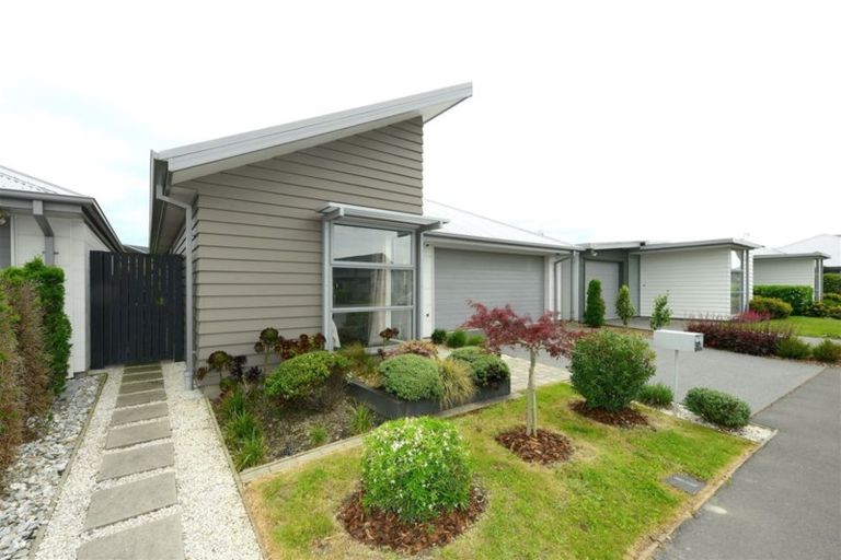 Photo of property in 21 Hamill Road, Halswell, Christchurch, 8025