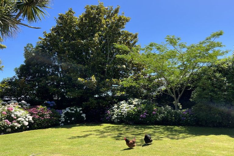 Photo of property in 16 Fairfield Road, Hawera, 4610