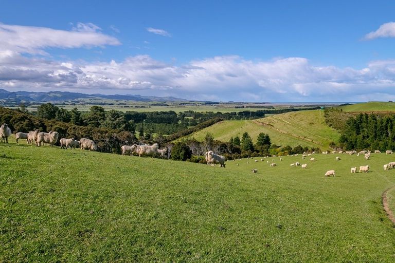 Photo of property in 2943a Western Lake Road, Western Lake, Featherston, 5773