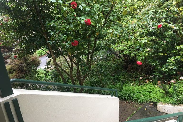 Photo of property in 59 East Street, Pukekohe, 2120