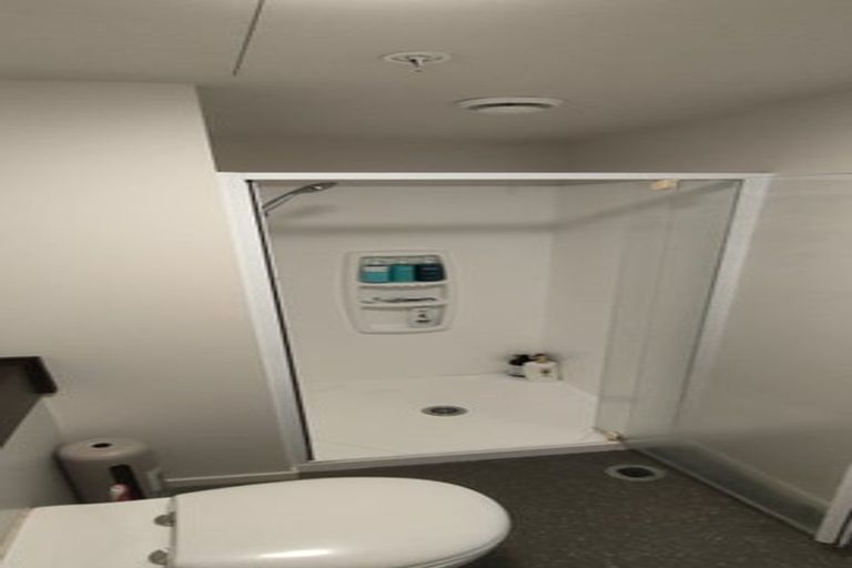 Photo of property in The Peak Apartments, 502/170 Taranaki Street, Te Aro, Wellington, 6011