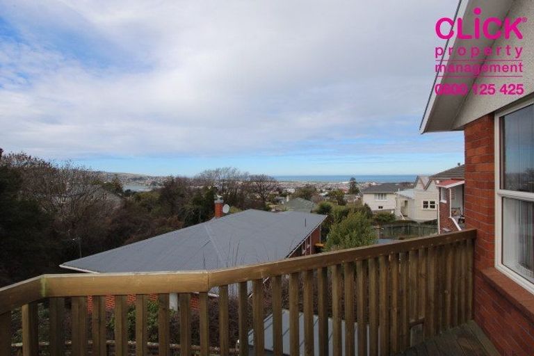 Photo of property in 17 Patrick Street, The Glen, Dunedin, 9011