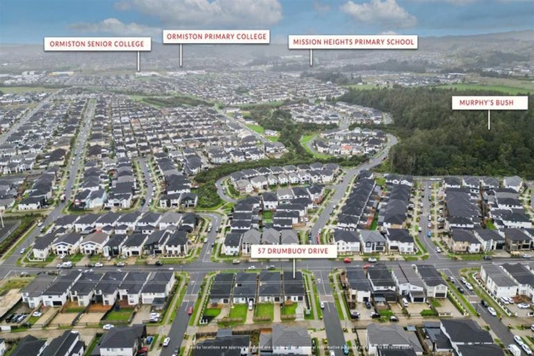 Photo of property in 57 Drumbuoy Drive, Flat Bush, Auckland, 2019