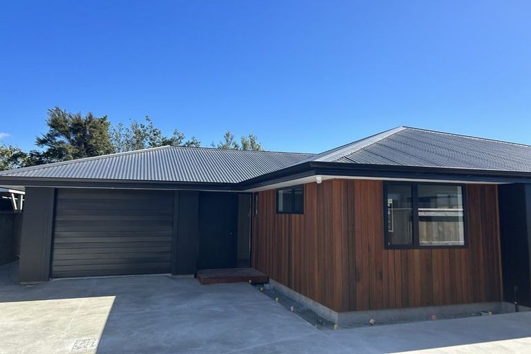 Photo of property in 29c Elizabeth Street, Masterton, 5810