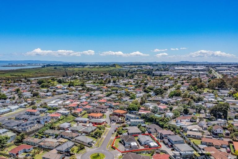 Photo of property in 79 Robert Skelton Place, Clendon Park, Auckland, 2103