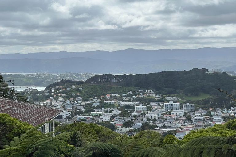 Photo of property in 167 The Ridgeway, Mornington, Wellington, 6021