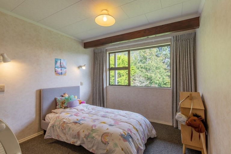 Photo of property in 134b Tipapakuku Road, Dannevirke, 4930