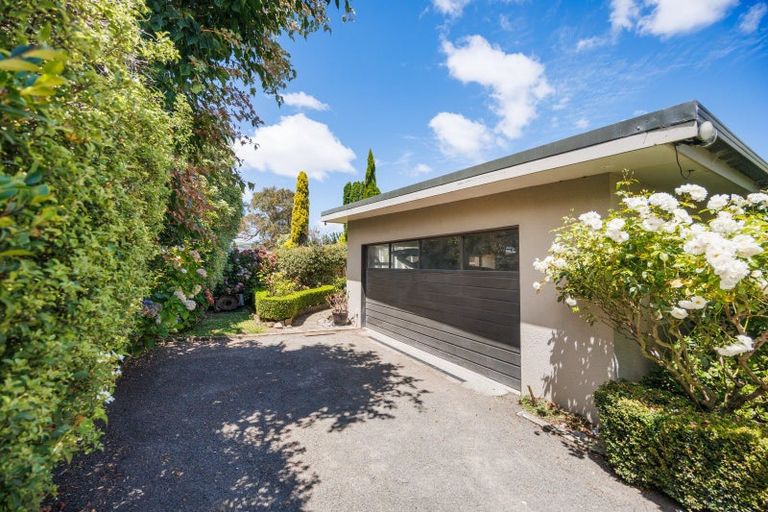 Photo of property in 1498 Napier Road, Ashhurst, 4810