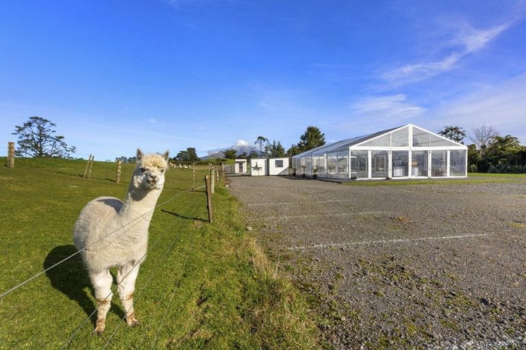 Photo of property in 75 Lepper Road, Inglewood, 4386