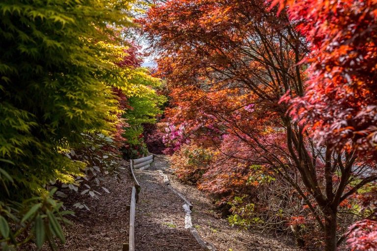 Photo of property in 252 Masterton Stronvar Road, Te Ore Ore, Masterton, 5890