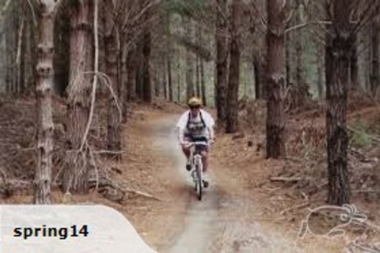 Photo of property in 35 Eastwood Rise, Waimairi Beach, Christchurch, 8083