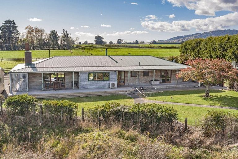 Photo of property in 382 Kimberley Road, Levin, 5571