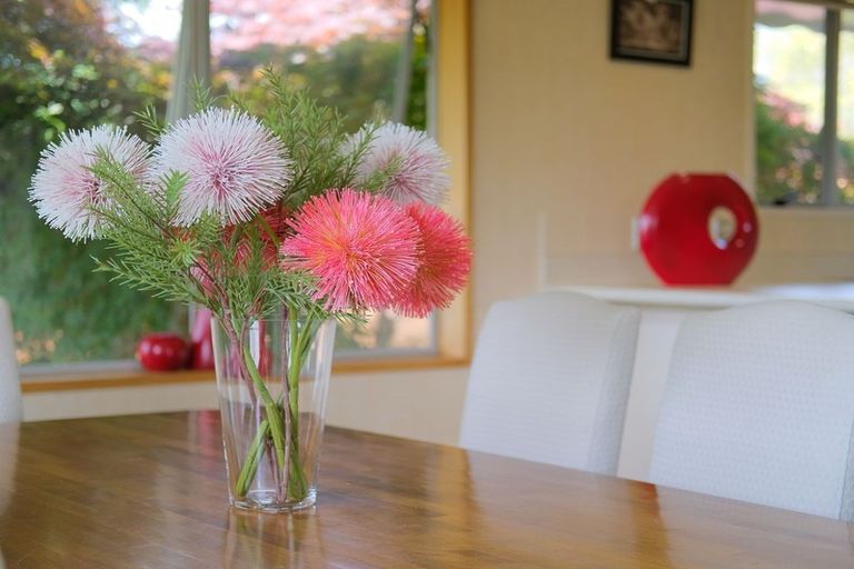 Photo of property in 8 Windsor Place, Mosgiel, 9024