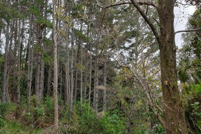 Photo of property in 826 Bickerstaffe Road, Maungaturoto, 0587