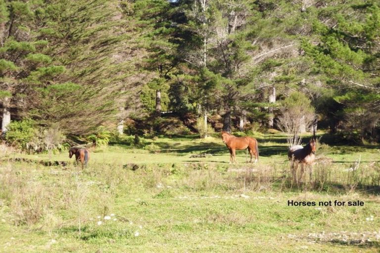 Photo of property in 1677 Takaputahi Road, Toatoa, Opotiki, 3197