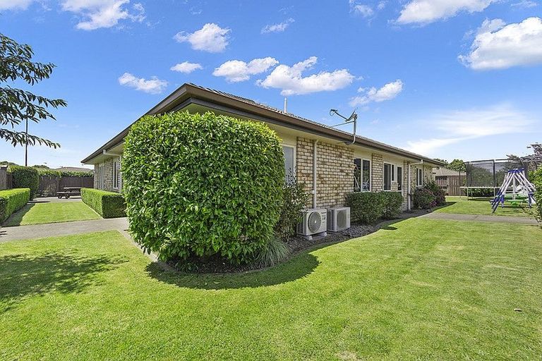 Photo of property in 60 Matipo Street, Matamata, 3400