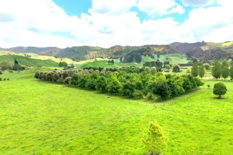 Photo of property in 115 Ellis Road, Otorohanga, 3974