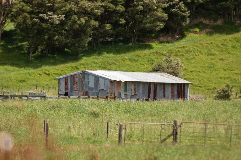 Photo of property in 141 Neavesville Road, Puriri, Thames, 3578