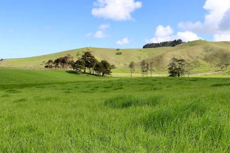 Photo of property in 182 Morrison Road, Arapohue, Dargaville, 0374