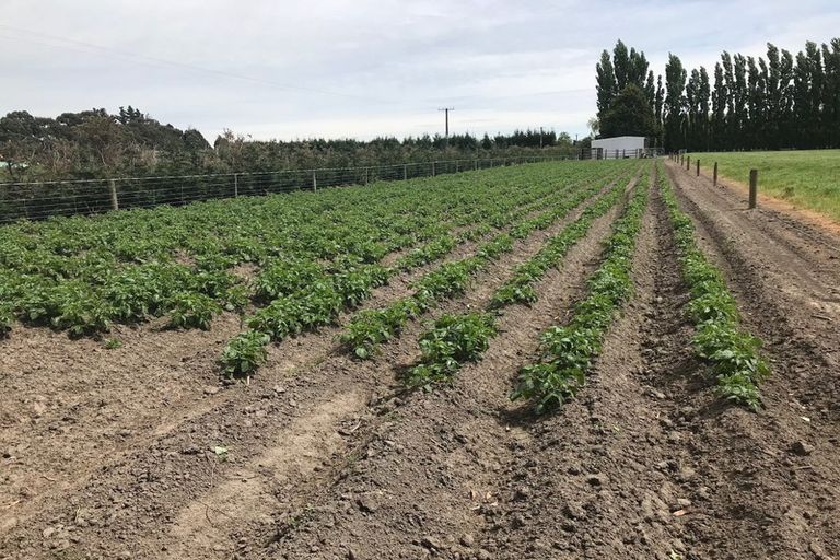 Photo of property in 31 Alameda Place, Rolleston, Christchurch, 7676