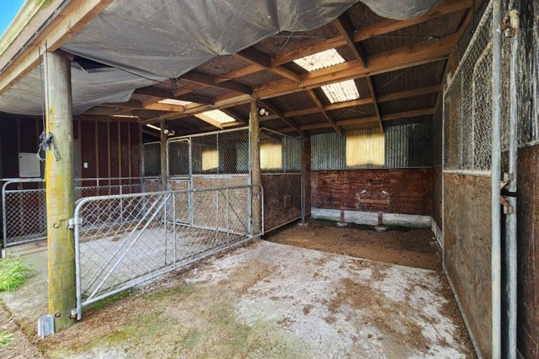 Photo of property in 144 King Road, Inglewood, 4386