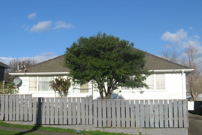 Photo of property in 78 Castor Crescent, Cannons Creek, Porirua, 5024