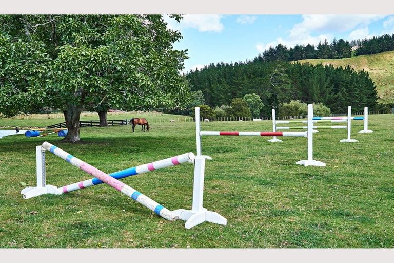 Photo of property in 921 Ngakoroa Road, Ormond, Gisborne, 4071