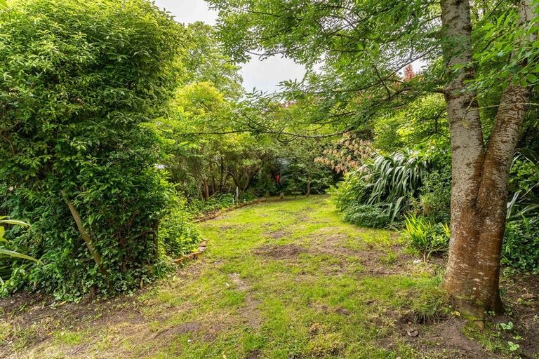 Photo of property in 22 Neidpath Road, Mornington, Dunedin, 9011