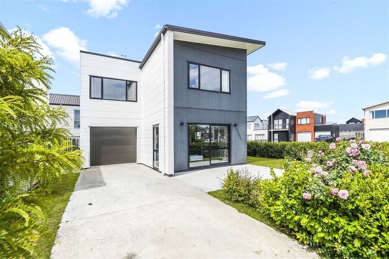 Photo of property in 46 Tennille Street, Flagstaff, Hamilton, 3210