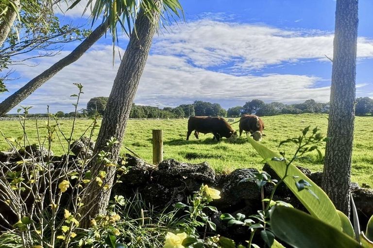 Photo of property in 121 Muir Avenue, Mangere Bridge, Auckland, 2022
