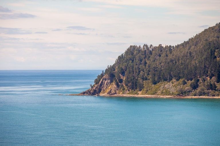 Photo of property in 14 Pacific Drive, Tairua, 3508