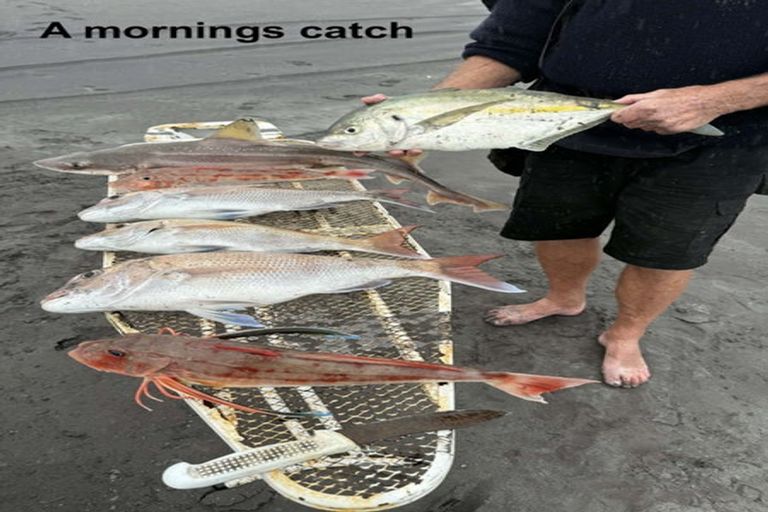 Photo of property in 5 Elley Drive, Carters Beach, Westport, 7825