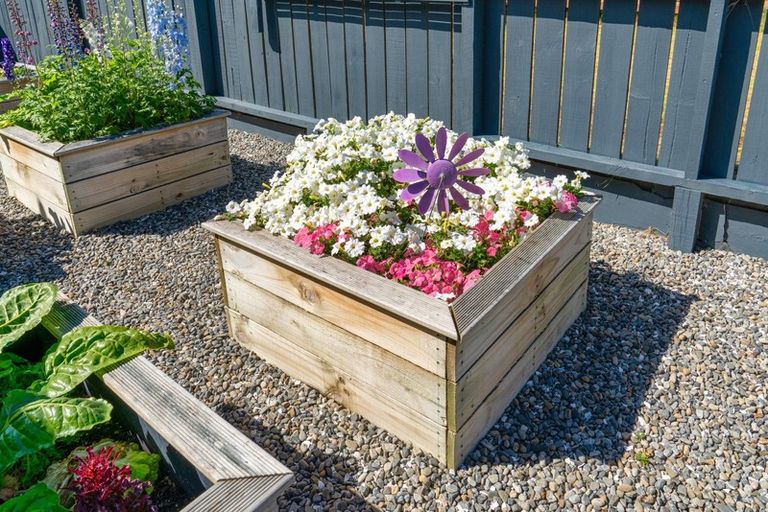 Photo of property in 25 Scott Avenue, Otaki Beach, Otaki, 5512