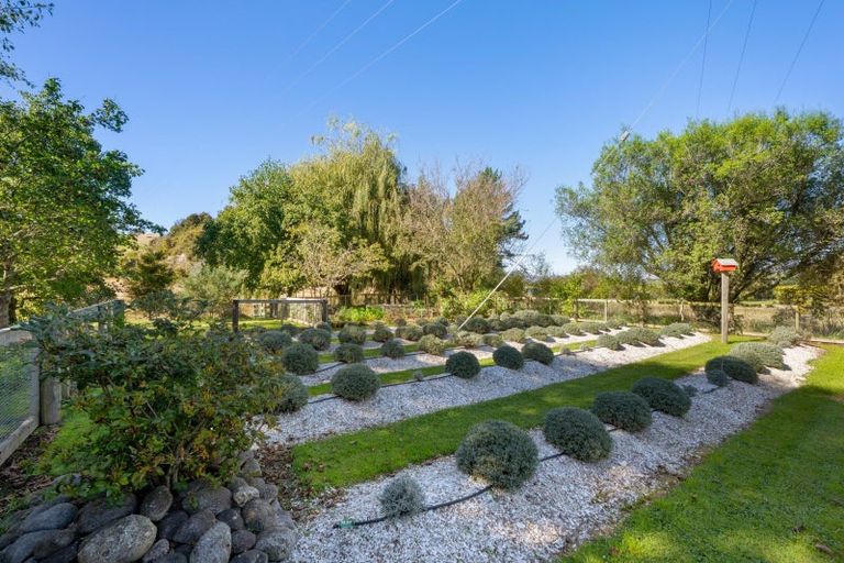 Photo of property in 274 Northbank Road, Kaituna, Blenheim, 7275