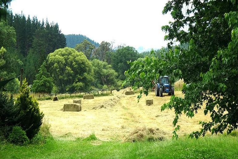 Photo of property in 46 Ruapapa Road, Frasertown, Wairoa, 4195