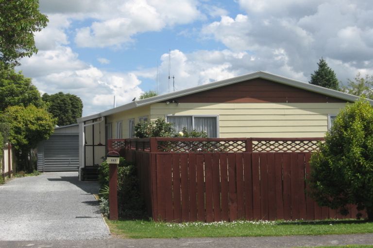 Photo of property in 117 Tennyson Street, Leamington, Cambridge, 3432