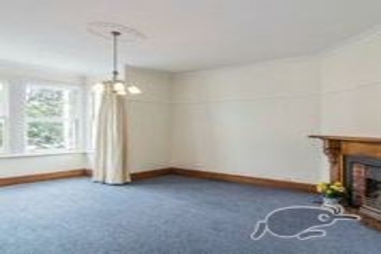 Photo of property in 24a Colombo Street, Newtown, Wellington, 6021