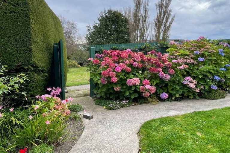 Photo of property in 19a Gilmore Street, Wakari, Dunedin, 9010