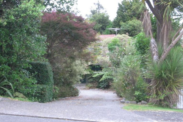 Photo of property in 16 Kereru Street, Waikanae, 5036