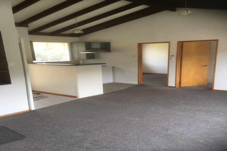 Photo of property in 28b Manchester Street, Bradford, Dunedin, 9011