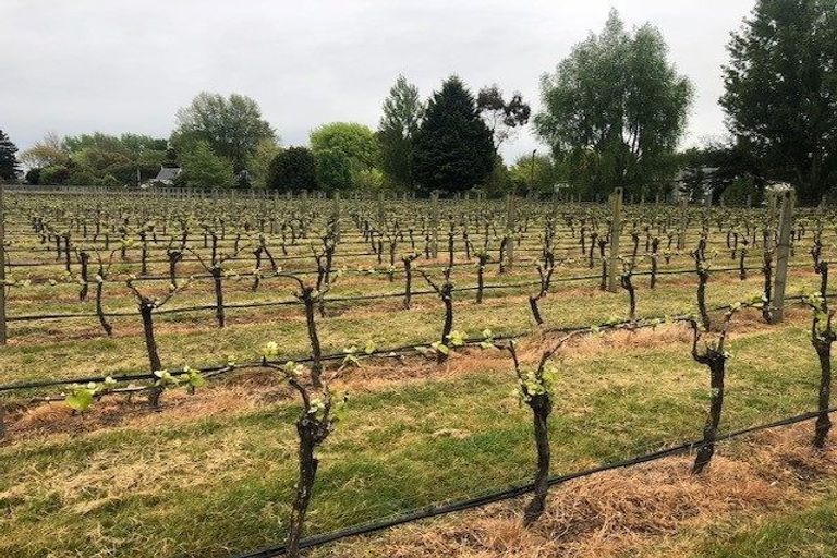 Photo of property in 638 Harewood Road, Harewood, Christchurch, 8051